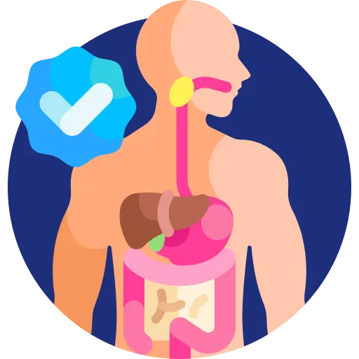 Digestive Imbalances