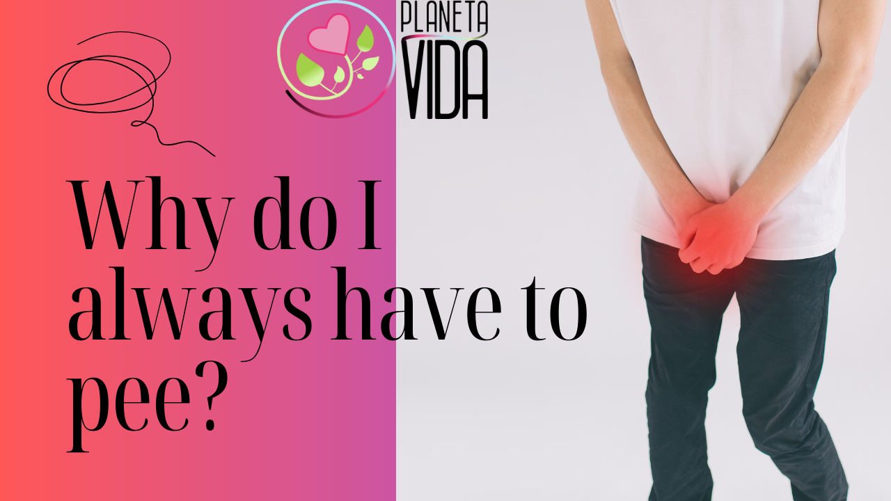 Q44 - Why do I always have to pee - EN