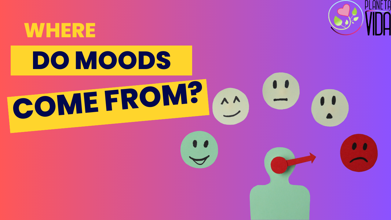 Q2 - Where do moods come from - EN